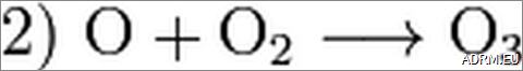 Ozon24.de Ozon Desinfektion-Behandlung
